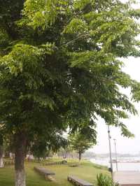 Du Huế