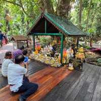 คำชะโนดเมืองแห่งพญานาคศักดิ์สิทธิ์