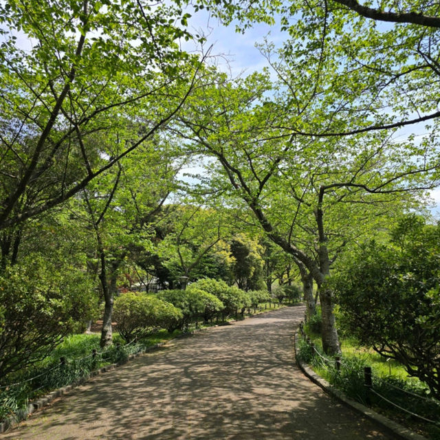 가족과 같이 가기 좋은 제주도 무료 수목원, 한라수목원