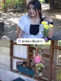 แพลนเที่ยวเชียงดาว 1 วัน 