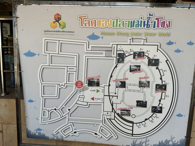 พาลูกเที่ยวพิพิธภัณฑ์สัตว์น้ำจืดหนองญาติ @หนองคาย