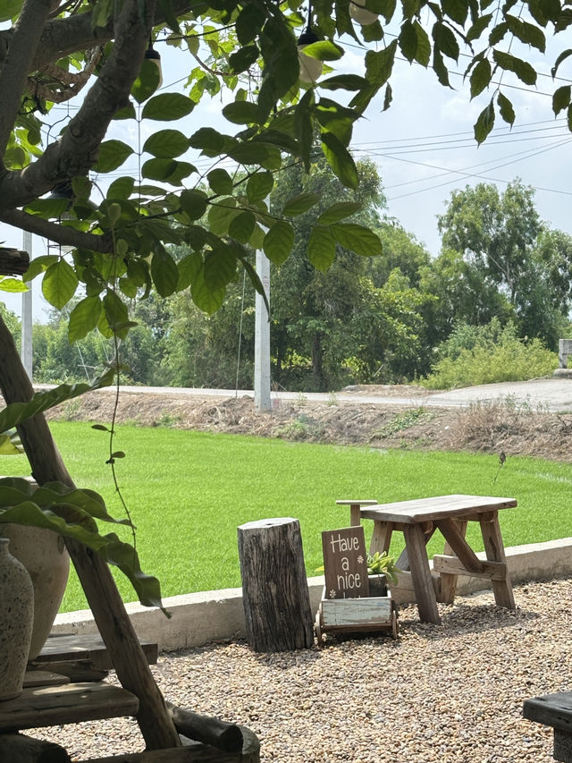 พาเที่ยวคาเฟ่ริมทุ่งนาเขียวขจีใน อ.เสนา อยุธยา