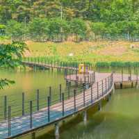 Jinbatgol forest park