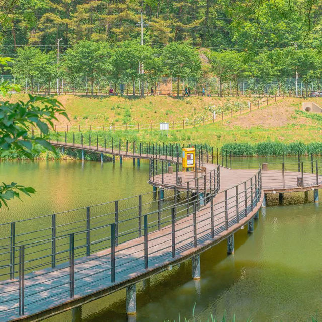 Jinbatgol forest park