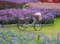 The peak flower land