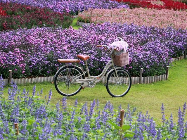 The peak flower land