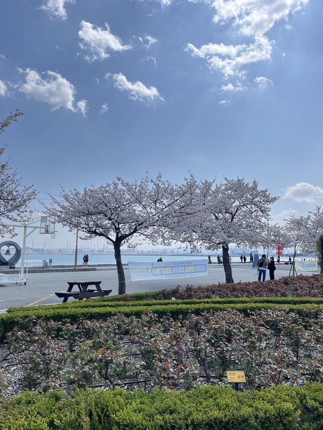 포항 필수 여행코스 영일대해수욕장& 영일정