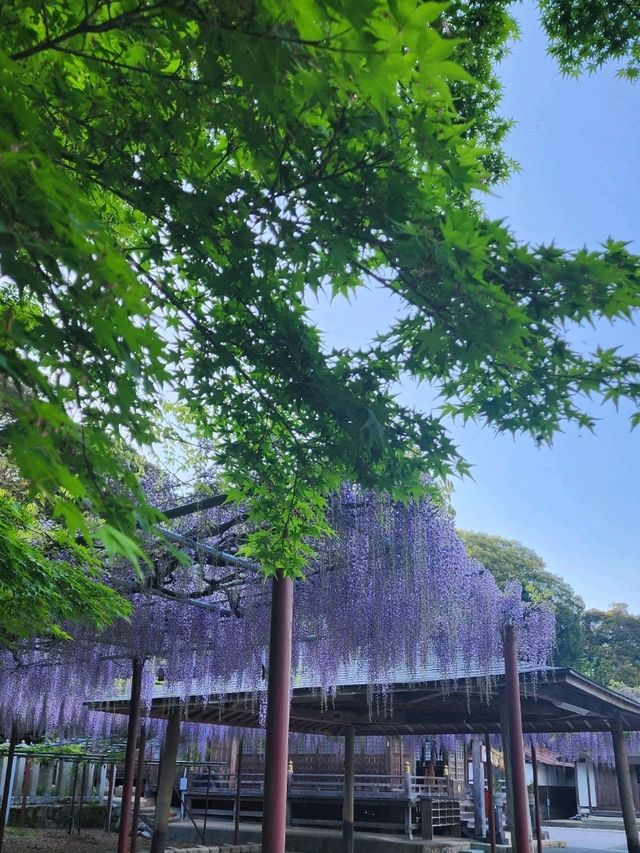 【山口グルメ】道の駅おふく・西八幡宮