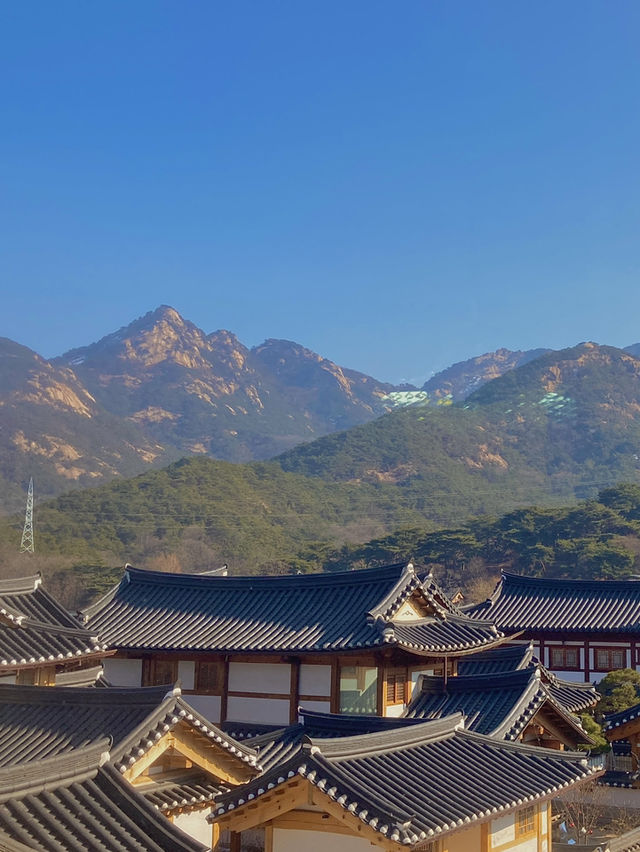 서울 조용한 여행은 이렇게 다녀오세요 ‼️