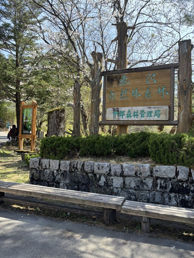 片道、約25分間のトロッコ旅ー❤️