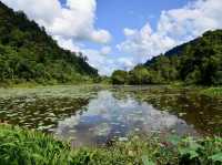 🌿 Thale Ban National Park: A Backpacker’s Guide to Southern Thailand’s Emerald Secret! 