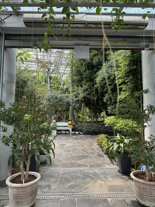다육식물원에서 만난 귀여운 다육식물 관람 후기🌵