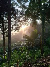 กางเตนท์เขาพะเนินทุ่งหน้าฝน