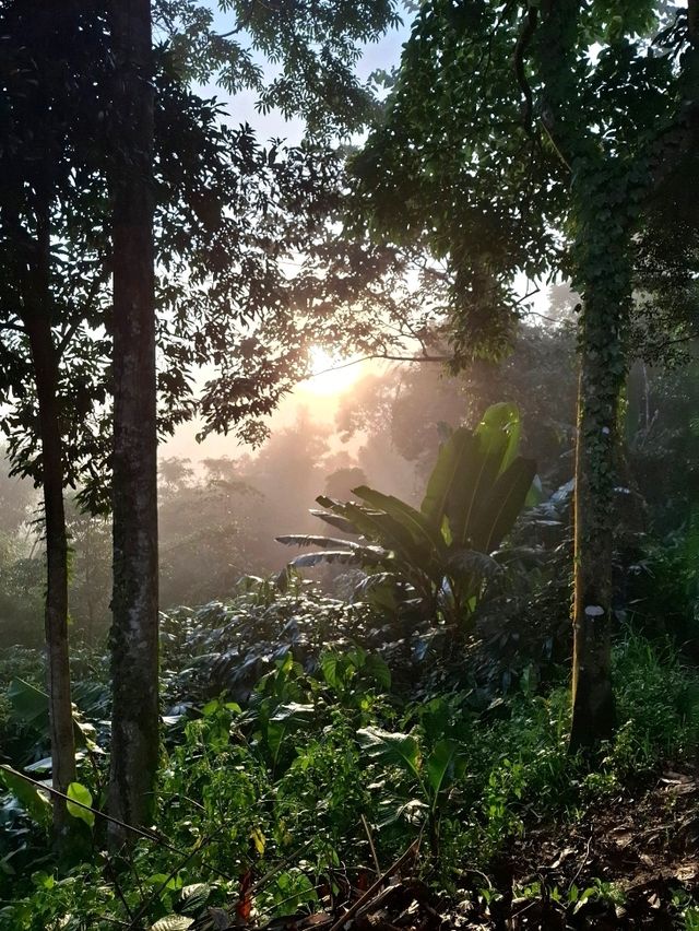 กางเตนท์เขาพะเนินทุ่งหน้าฝน