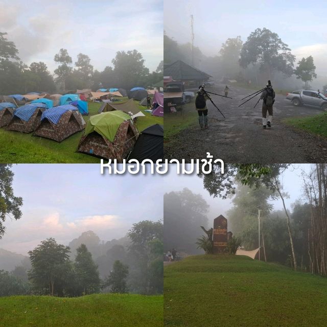 แพลนเที่ยวเขาพะเนินทุ่ง 1 คืน 