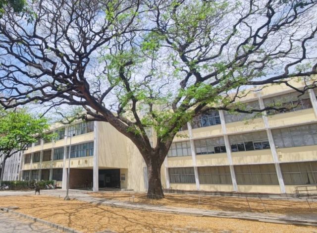 #國立成功大學-台南市東區