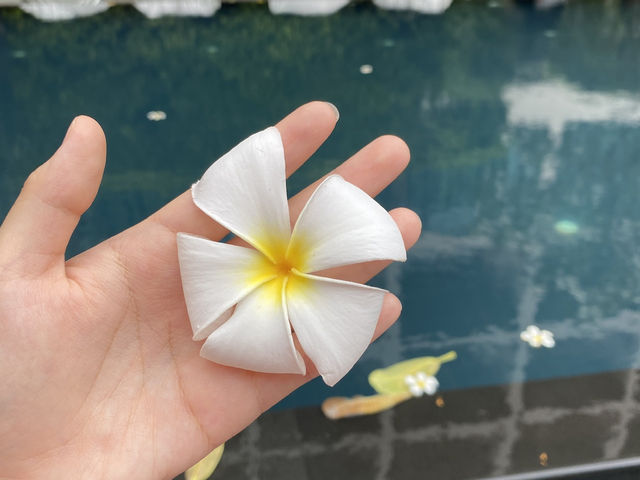 โรงแรมติดทะเลพัทยา เดินได้ถึงหาด 🏖️
