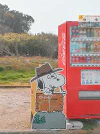 【淡路島】可愛すぎるスヌーピーの壁🐶💛