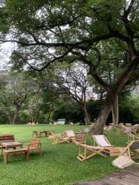 Mulberry Mellow cafe 
