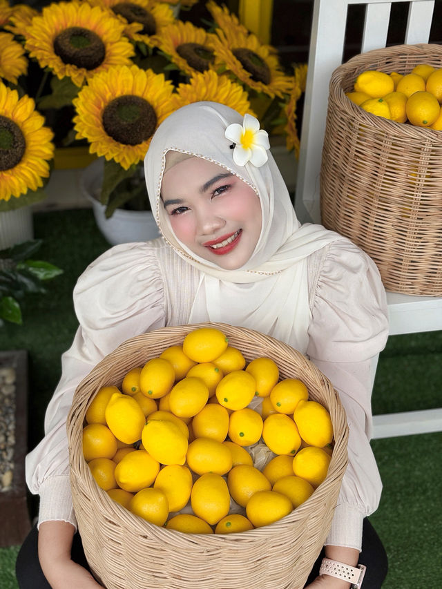 Time cafe & restaurant - ทุ่งสง นครศรีธรรมราช