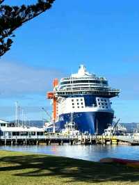 Tauranga – Where Coastal Charm Meets Adventure