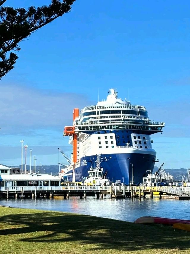Tauranga – Where Coastal Charm Meets Adventure