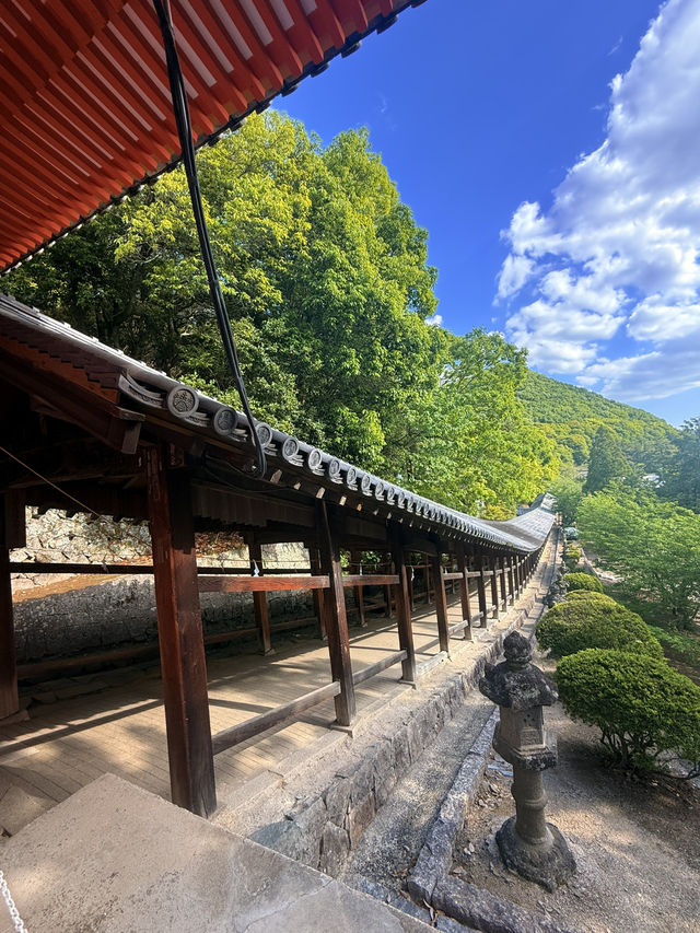 岡山｜桃太郎傳說原形吉備津神社 絕密「鳴釜神事」傳說