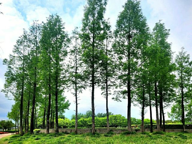 Title: Seonyudo & Yanghwa Hangang Park: Seoul’s Riverside Eco-Cultural Duo