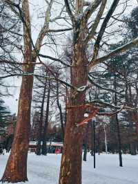 BEAUTIFUL PARK.