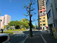 Title: Hiroshima: From Tragedy to Triumph – A City of Peace and Resilience