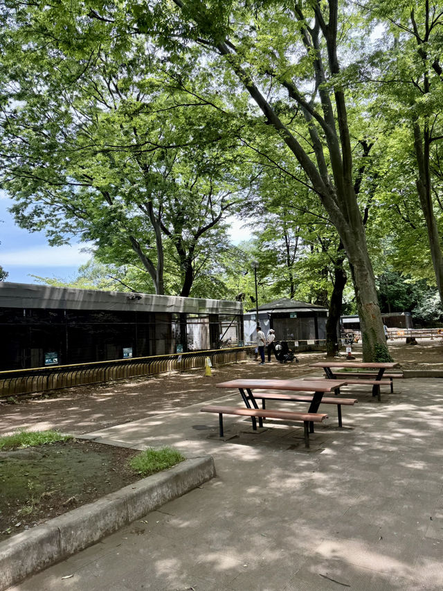 📍 夢見ヶ崎動物公園/神奈川