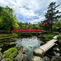 Yuushien Garden: Peony Paradise on Daikon Island