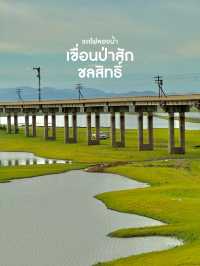 หน้าฝนนี้ ไปถ่ายรูปกับรถไฟลอยน้ำกันนน 💚💦