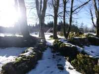 Altamont Gardens – A Romantic Treasure in County Carlow