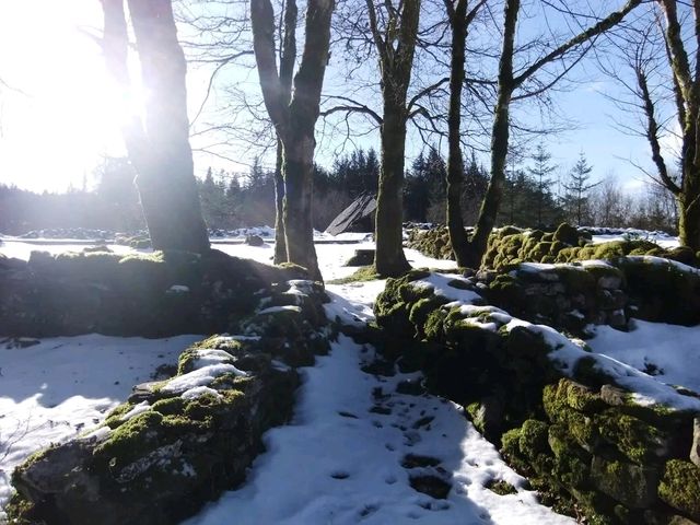 Altamont Gardens – A Romantic Treasure in County Carlow