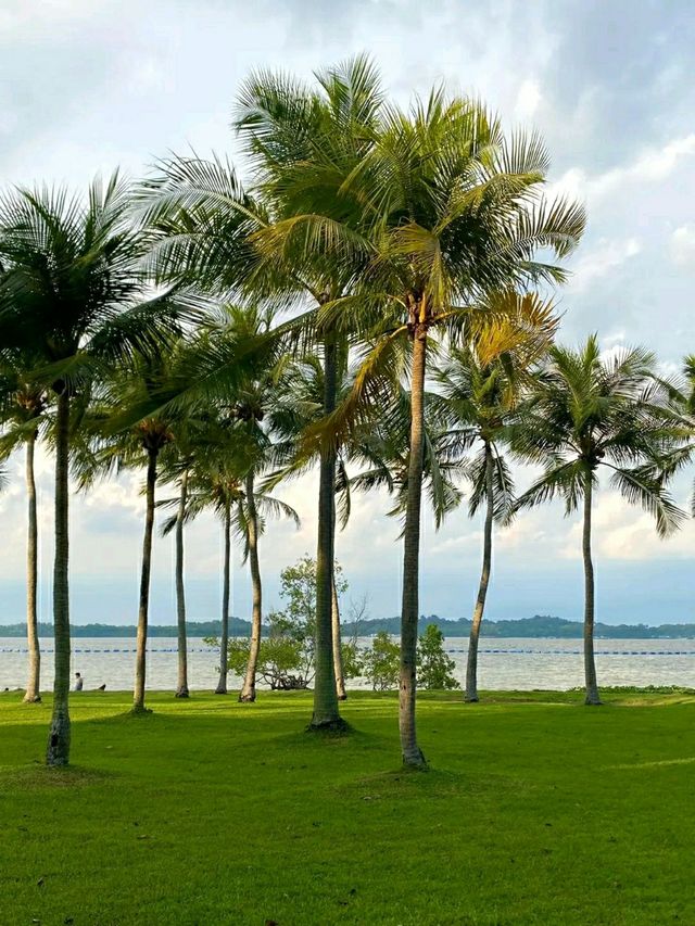 Pasir Ris Park – A Relaxing Coastal Escape in Singapore