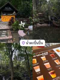 ปิ๊น ปิ๊น ค่าเฟ่