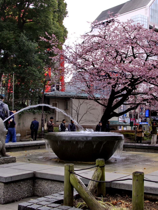 Tokyo & Kamakura Getaway