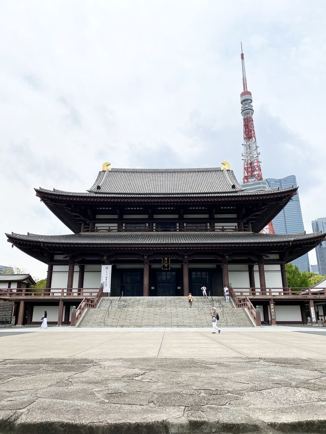 【東京都芝公園🇯🇵増上寺】徳川家の菩提寺/日本有数の寺院☺️