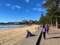 Manly to Shelly Beach – A Coastal Walk Worth Slowing Down For