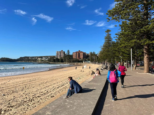 Manly to Shelly Beach – A Coastal Walk Worth Slowing Down For