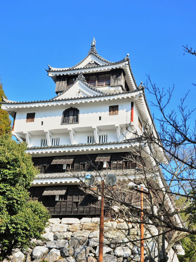  🌸 "Cherry blossoms and castles: timele