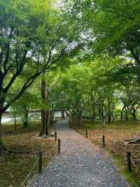 Hanging Out at Tofukuji 