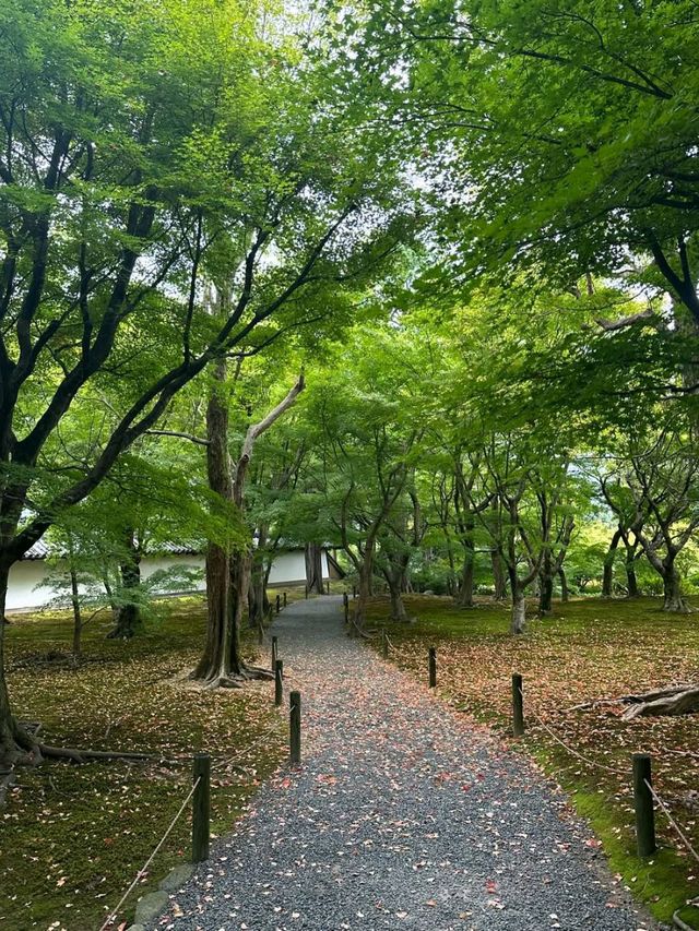 Hanging Out at Tofukuji 