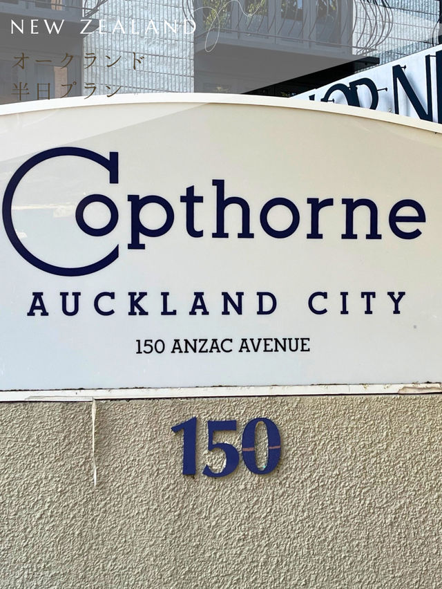 【NZ】✈️オークランド到着日の半日プラン🇳🇿