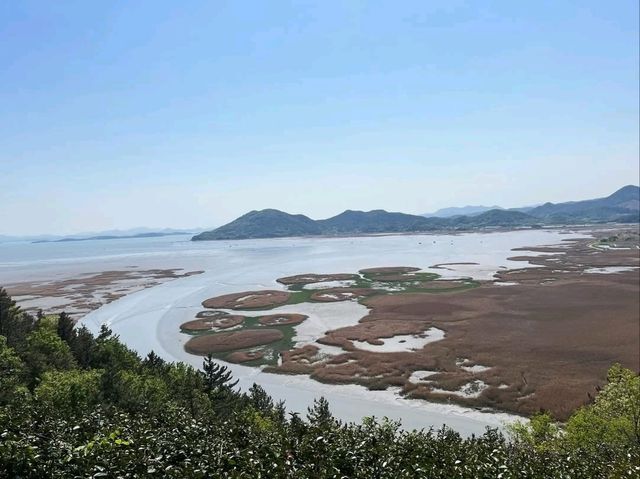 Spring in Suncheon