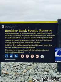 📍紐西蘭南島。冷門在地人放鬆景點｜Nelson, Boulder Bank