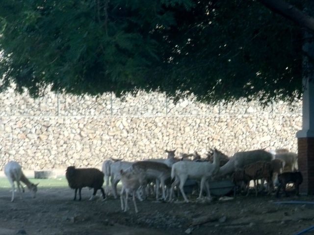 A visit to Baluarte, bastion in the north