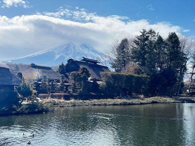 Hoshino Hakkai: A Hidden Paradise of Crystal Waters and Fuji Views