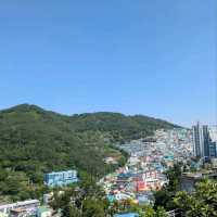 Colorful Hillside Wanderland